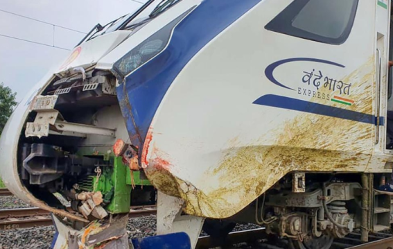 Vande Bharat Vulnerable to Cattle Collisions, Railway Safety Report Warns